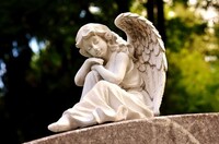天使に羽がある意味はなんですか 普段は地べたを歩いてるということ Yahoo 知恵袋
