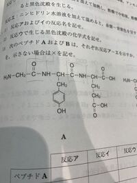 アニリンは ニンヒドリン反応を起こさないのですか ニンヒ Yahoo 知恵袋