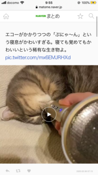 猫のイビキについて質問です わたしの飼っている猫は 寝ている時 イ Yahoo 知恵袋