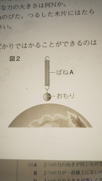 地球だと質量1キロおもりで2センチ伸びるバネに月面上で質量3キロのおも Yahoo 知恵袋