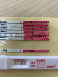 高温期12日目で妊娠検査薬真っ白 排卵検査薬はこの濃さっていうのは も Yahoo 知恵袋