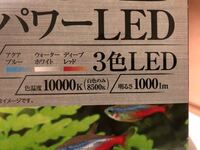 ルーメン 1000ケルビンのledライトの光の強さは強い方ですか Yahoo 知恵袋