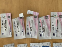 女の子の産み分けをしています 2 10 17まで整理がありました Yahoo 知恵袋