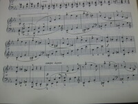 ベートーヴェンの ピアノソナタ第8番ハ短調作品13 悲愴 第2 Yahoo 知恵袋