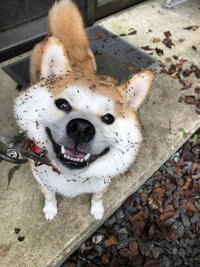 Specの結で当麻のおばあちゃんに湯田が憑依していたんだったら何故湯田も爆発 Yahoo 知恵袋