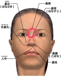 鼻叩き 効果 画像 14 鼻叩き 効果 画像