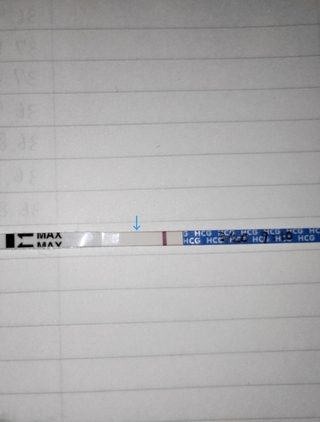 高温期10日目 ラッキーテスト