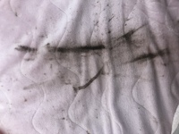 布団のシーツにこんな黒いものがありました 私は女なのですが 生理中というわ Yahoo 知恵袋