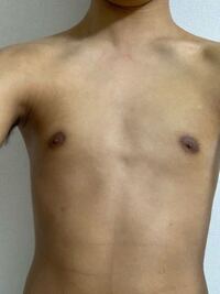 冷やかしなどはやめて下さい高3女子です 貧乳に悩んでいます 今は下着は75b Yahoo 知恵袋