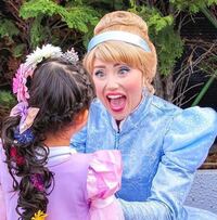 去年 修学旅行でディズニーランドに行ったんですが シンデレラを見 Yahoo 知恵袋