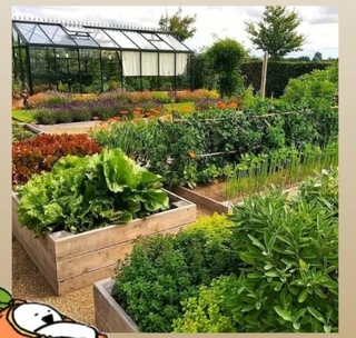 囲いの中で家庭菜園画像のように囲いを作って家庭菜園をしたいと思い Yahoo 知恵袋