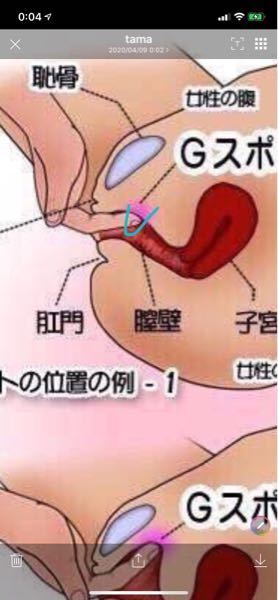 性についての悩みです 18歳処女です 骨 のような硬いもの Yahoo 知恵袋