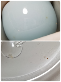 何十年と閉まっていた新品未使用の陶器やガラスに、よく見ると
