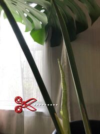 髪をすく の すく はどう言う漢字を書きますか 梳くです 昔は Yahoo 知恵袋