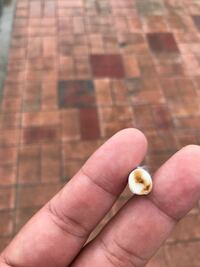 タバコ吸ったらフィルターがこんな風になったのですが なぜでしょうか Yahoo 知恵袋