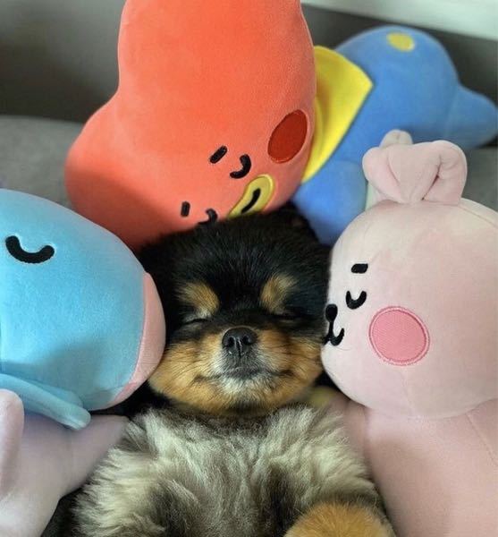 この写真ってヨンタンですか 最近この写真をよく見るのですが どのコンテンツ Yahoo 知恵袋