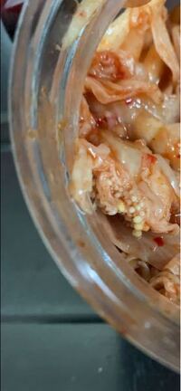 グロ注意 業務用スーパーで買ったキムチに卵のようなものがびっし Yahoo 知恵袋