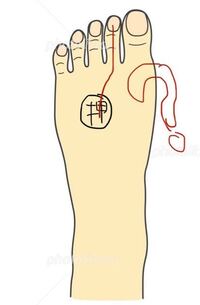 足の甲を押すと指が痛いです 先日バイト中に重いものを倒してしまい それが足 Yahoo 知恵袋