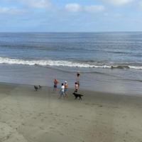 英語と海外 アメリカ の俳優に詳しい方お願いします これはマシューペ Yahoo 知恵袋