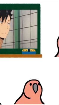 Tiktokを保存する時 普通に保存できればいいのですがたまに著作 Yahoo 知恵袋