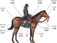 戦国時代は 合戦で馬に乗って戦ったそうですが 日本の馬はポ Yahoo 知恵袋