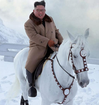 もし現実に白馬に乗った王子様がこの日本で現れたら絶対引きます Yahoo 知恵袋