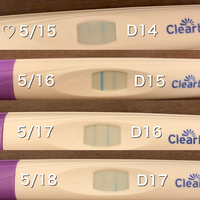 女の子希望で基礎体温 排卵検査薬 ピンクゼリーを用いて現在妊活中です 5 Yahoo 知恵袋