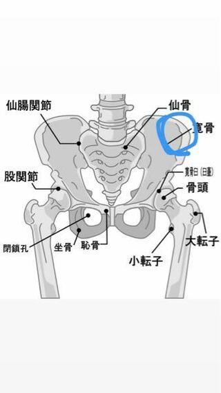 運動してる時 運動した後画像ら辺が痛いです ただ歩いてるだけでも振動 Yahoo 知恵袋