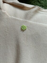 洗濯物を取り込んだら 服に何か 昆虫の 卵のようなものがついて Yahoo 知恵袋