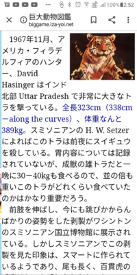 巨大動物図鑑によるとベンガルトラの最大個体は300kgを軽々上回る雄成獣の Yahoo 知恵袋