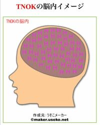 Tnokの脳内イメージです これについてどう思いますか やっぱりな Yahoo 知恵袋