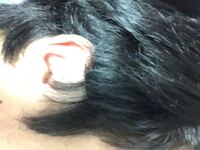 女性のかた 質問です もみあげを薄くするには 目立たなくするには Yahoo 知恵袋