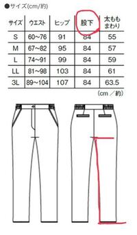 身長が178cmで座高が97cmって脚短いですか 身長 座高 股下では Yahoo 知恵袋
