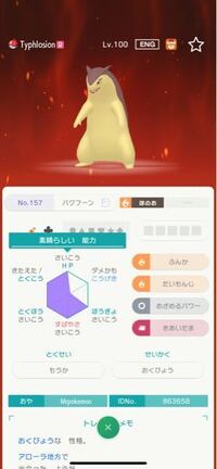 ポケモン剣盾のgts交換でもらったザシアンなのですが こちらは改造の可能性 Yahoo 知恵袋