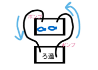 オーバーフロー水槽をしたかったのですが 水が落ちる音がうるさいのと水槽 Yahoo 知恵袋