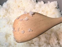 ご飯粒は残さないで食べる人が ごま粒を残すのは矛盾してますか Yahoo 知恵袋