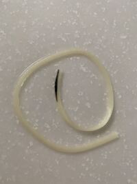 ファッションウォーカーってやばくないですか 先月 リニューアルするとの Yahoo 知恵袋