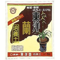 春蘭 寒蘭などの 東洋蘭を植え替える際 水苔と 東洋蘭専門として Yahoo 知恵袋