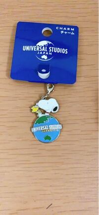 皆さん ストラップやキーホルダーってどこに付けてますか この前 Yahoo 知恵袋