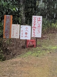 福岡大学ワンダーフォーゲル部ヒグマ事件の 亡くなった方々の遺体 Yahoo 知恵袋