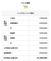 専門学校ビジョナリーアーツ東京校のペット学科 ドックグルーミング専攻の方に Yahoo 知恵袋