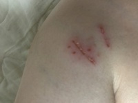 至急 お願いします 憲法について 次の分の に入る言葉 漢字2文字を Yahoo 知恵袋