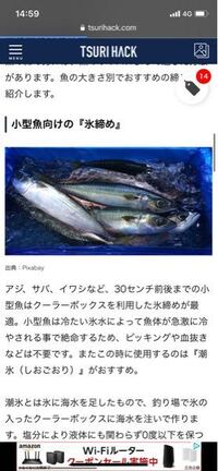 これを見る限りだと カンパチの幼魚25cmくらいも血抜きをしないで氷漬けに Yahoo 知恵袋