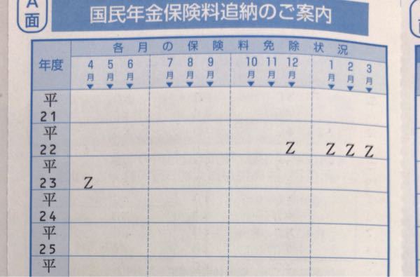 年金 全額 免除 追 納