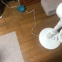 犬が感電しました 至急返答下さい コタツのコンセントを噛んで Yahoo 知恵袋