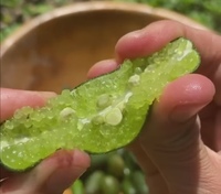 ホームセンターでフィンガーライムの苗を見てからずっと気になっていま Yahoo 知恵袋