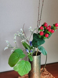 花について スターチスは 写真のように中から白い花がでてきますよね これが花 Yahoo 知恵袋
