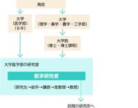 研究者になる という事は具体的にはどのように生活していく事なの Yahoo 知恵袋