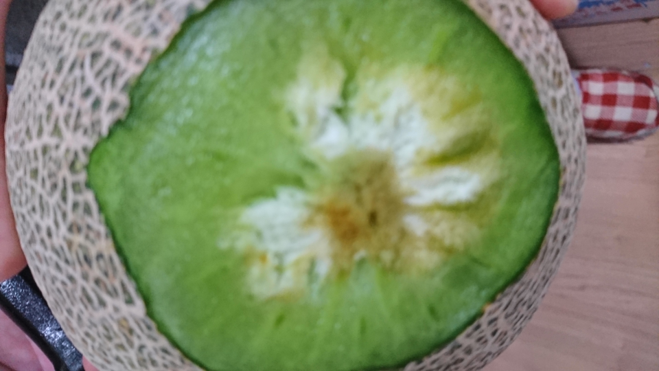 メロンにカビが 皆さんならカビ除けて食べますか Yahoo 知恵袋