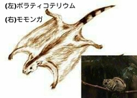 ボラティコテリウムとモモンガが似てる様に人間の外見そっくりの生物が宇宙のど Yahoo 知恵袋
